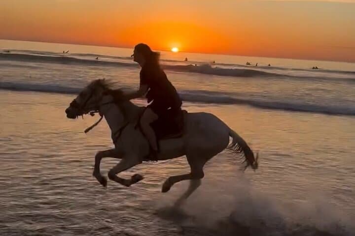 Sunset Horseback Ride on Taghazout Bay: Beach Gallops & Beginner-Friendly Trails photo 2