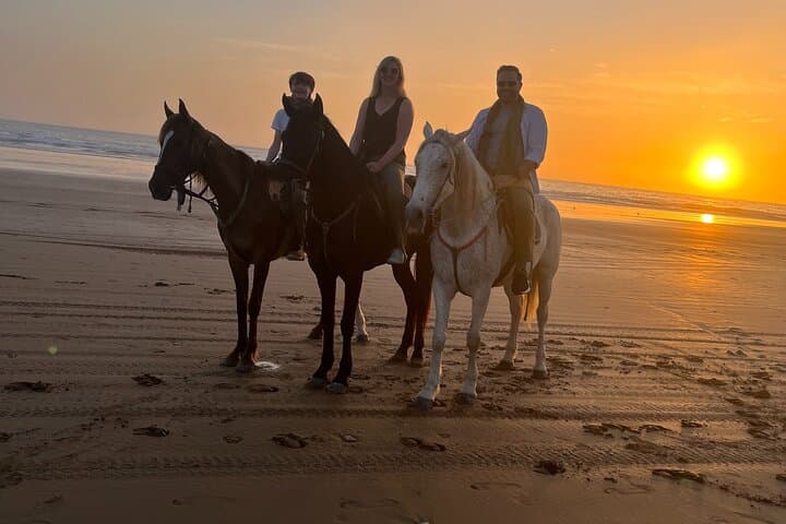 Sunset Horseback Ride on Taghazout Bay: Beach Gallops & Beginner-Friendly Trails photo 3