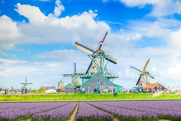 Zaanse Schans Windmills, Volendam & Marken Day Trip from Amsterdam photo 5