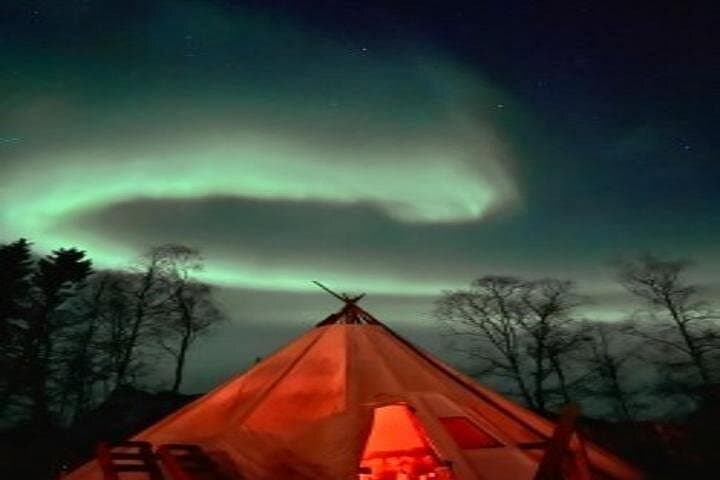 Reindeer Feeding and Sami Camp: Tromsø Arctic Culture and Northern Lights photo 1