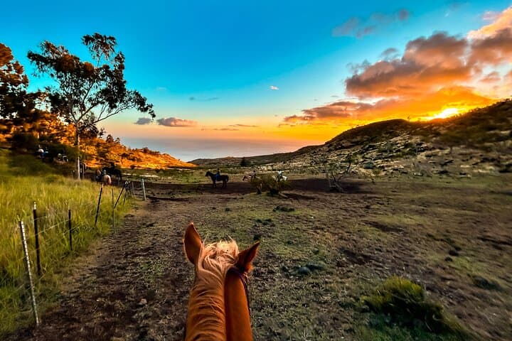 Oahu Sunset Mountain Vista Horseback Trail Ride in the Wai'anae Mountains photo 5