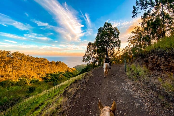 Oahu Sunset Mountain Vista Horseback Trail Ride in the Wai'anae Mountains photo 6