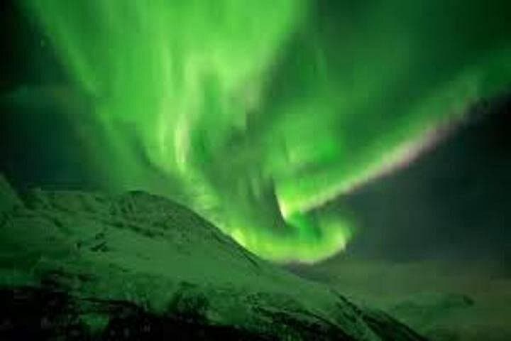 Reindeer Feeding and Sami Camp: Tromsø Arctic Culture and Northern Lights photo 2