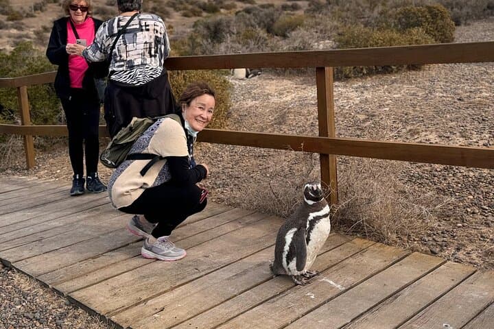 Private Punta Tombo Penguin Tour: Day Trip from Trelew photo 2