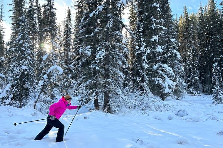 Private Rocky Mountains Day Tour from Calgary — Lake Louise, Icefields Parkway & Yoho photo 6