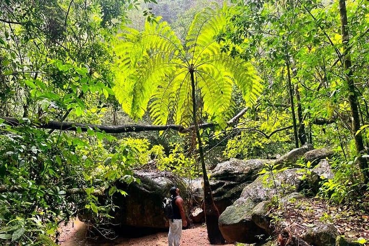 Mismaloya Waterfalls Jungle Hike — Full-Day Adventure from Puerto Vallarta photo 3