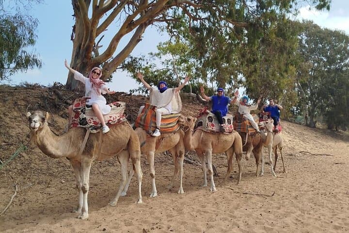 Agadir Camel Ride: Lakefront Forest Trek with Traditional Outfits photo 5