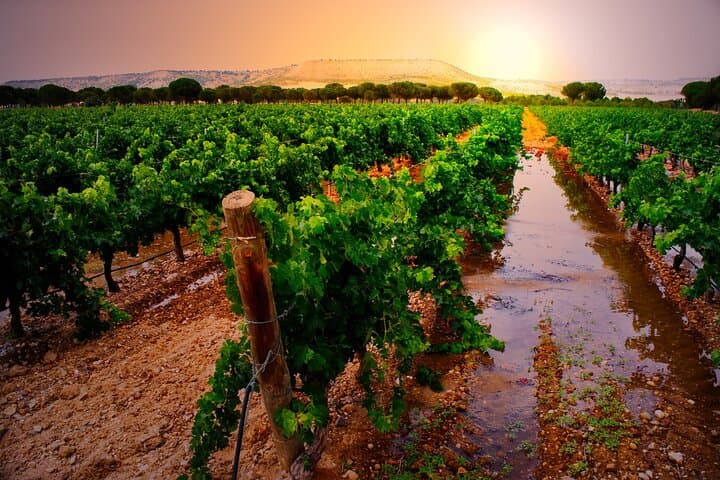 Ribera del Duero & La Rioja: 3-Day Wine, Waterfalls and Salt Tour from Madrid