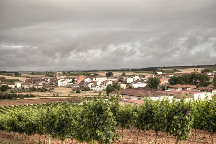 Ribera del Duero & La Rioja: 3-Day Wine, Waterfalls and Salt Tour from Madrid photo 2