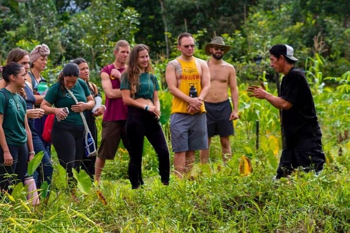 Ticote Medicine Farm Tour — Healing Plants and Indigenous Remedies Near La Fortuna photo 3