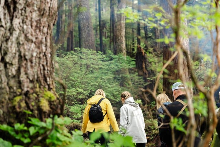 Ketchikan Wildlife Safari and Annette Island Beach Campfire Adventure photo 1