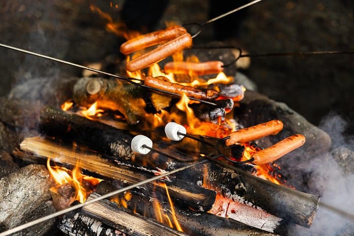 Ketchikan Wildlife Safari and Annette Island Beach Campfire Adventure photo 2