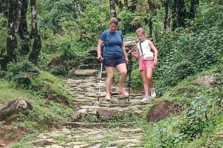 Australian Camp Trek from Pokhara — 2-Day Dhampus Sunrise & Mountain Panorama photo 5