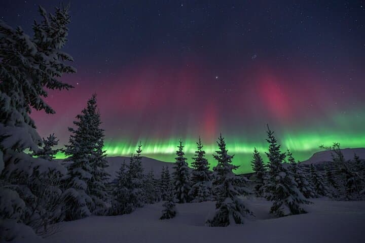 Tromsø Northern Lights Tour with Photographer: Aurora Chase & Pro Photos photo 2