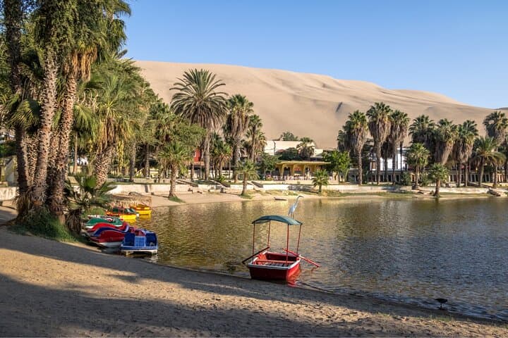 Ballestas Islands & Huacachina Oasis Full-Day: Sea Lions, Penguins & Dune Buggies from Lima photo 6