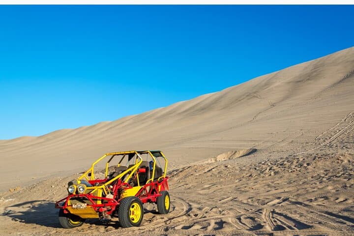 Ballestas Islands & Huacachina Oasis Full-Day: Sea Lions, Penguins & Dune Buggies from Lima photo 3