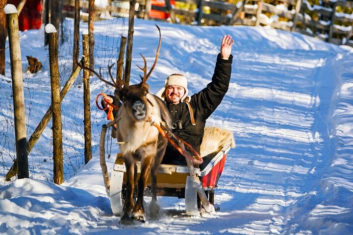 Rovaniemi Reindeer Farm Visit & Traditional Sleigh Ride in Lapland photo 6