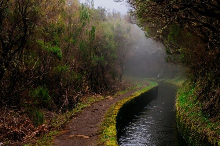 Levada do Rei PR18: Scenic Hike in Madeira with Transfer photo 3