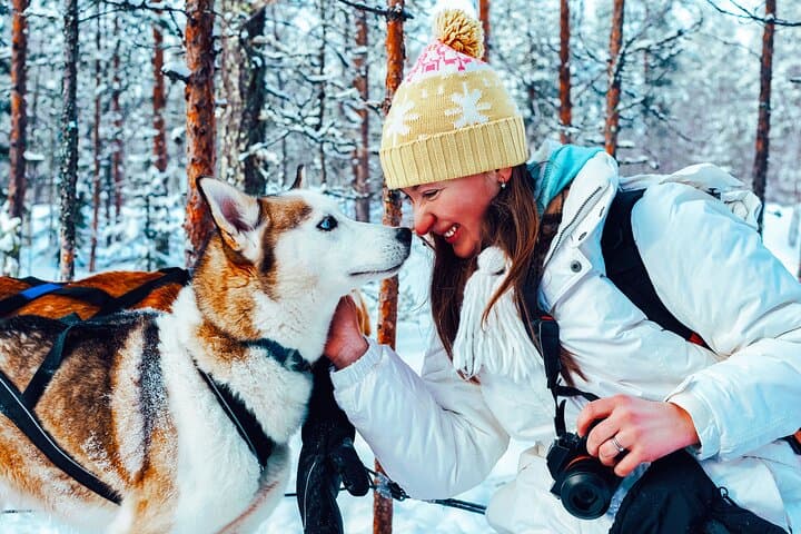 Husky Farm Visit and Sleigh Ride in Rovaniemi, Lapland photo 3