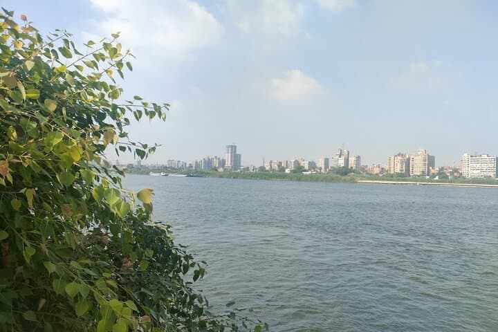Cairo in a Day: Giza Pyramids, Egyptian Museum & Nile Dinner Cruise photo 6