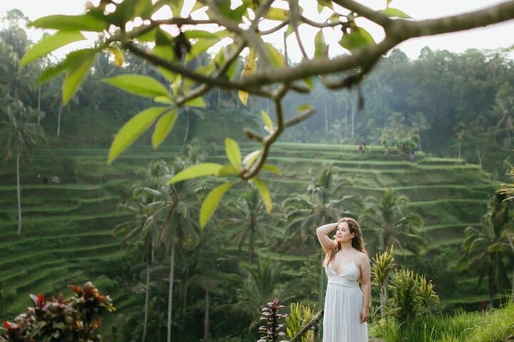 Best of Ubud Private Day Tour: Monkey Forest, Tegalalang & Tirta Empul