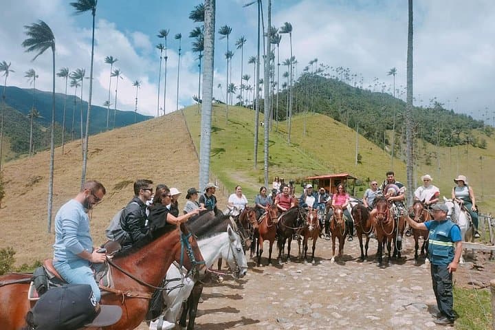 Salento, Cocora Valley & Filandia Day Tour — Wax Palms and Coffee Culture from Pereira photo 4