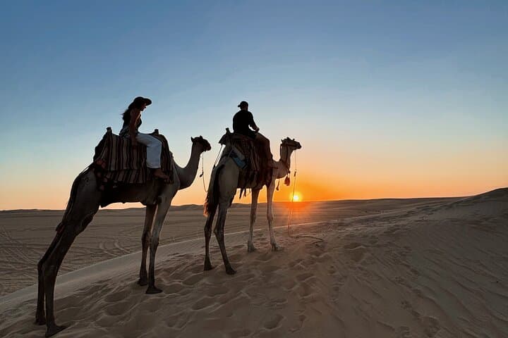 Siwa Oasis Camel Ride & Sandboarding at Sunset or Sunrise photo 4
