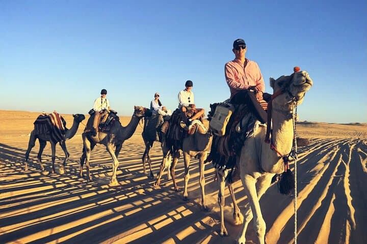 Siwa Oasis Camel Ride & Sandboarding at Sunset or Sunrise photo 6