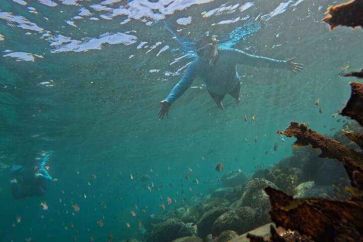 Private One-on-One Snorkel at Shelly Beach, Manly photo 3