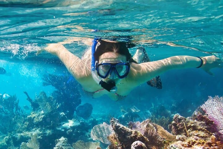 Catalina Island Day Trip: Snorkel the Natural Pool with Lunch from Punta Cana photo 5