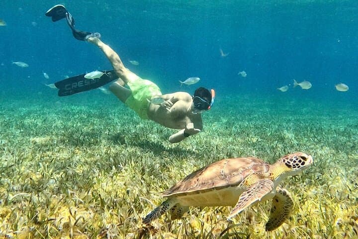 Cozumel Private Boat to El Cielo & Secluded Beach — Snorkel with Starfish photo 4