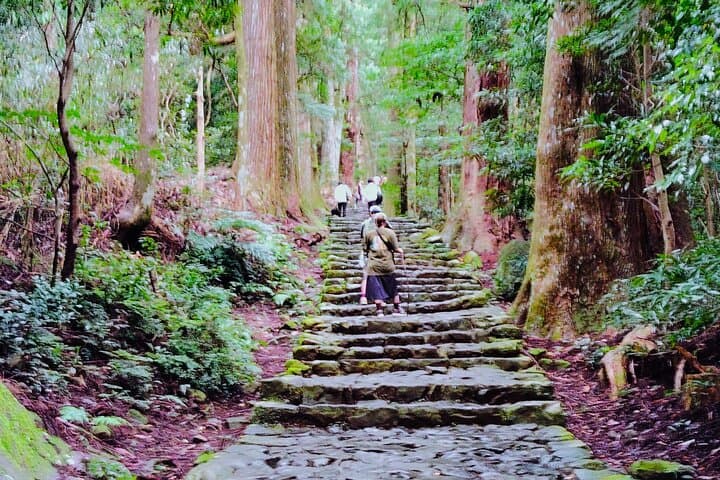 Kumano Kodo Daimon-zaka Walk to Nachi Waterfall: Pilgrimage, Pagoda & Purification