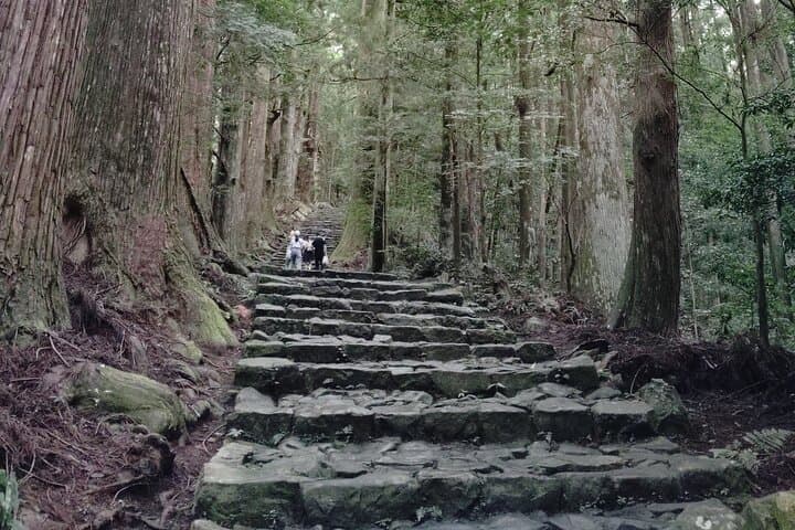 Kumano Kodo Daimon-zaka Walk to Nachi Waterfall: Pilgrimage, Pagoda & Purification photo 3