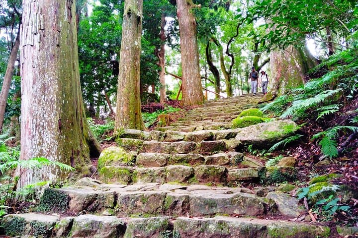 Kumano Kodo Daimon-zaka Walk to Nachi Waterfall: Pilgrimage, Pagoda & Purification photo 6