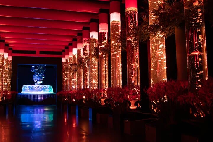 Art Aquarium Museum Ginza — Goldfish, Light Shows & Edo-Inspired Installations photo 4