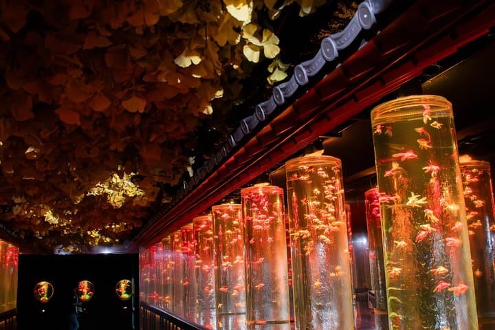 Art Aquarium Museum Ginza — Goldfish, Light Shows & Edo-Inspired Installations photo 5