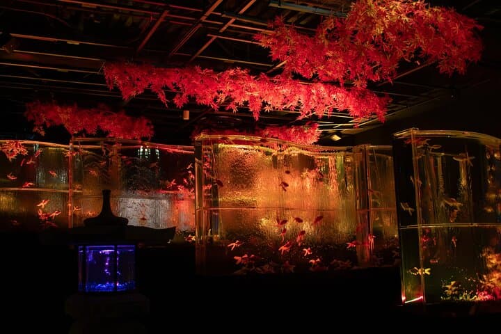 Art Aquarium Museum Ginza — Goldfish, Light Shows & Edo-Inspired Installations photo 6