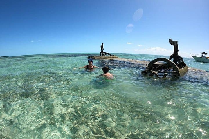 Top 4 Snorkeling Adventures in Bimini — SS Sapona, Stingray Island & Shark Arena photo 2