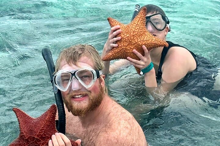 Top 4 Snorkeling Adventures in Bimini — SS Sapona, Stingray Island & Shark Arena photo 3