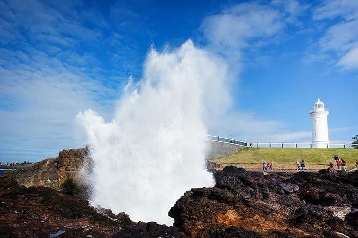 Jervis Bay Full-Day Dolphin Cruise, Huskisson Wharf Lunch & Kiama Blowhole Day Trip photo 3