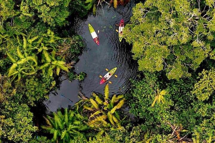 Klong Root Kayak Immersion: Paddle, Swim & Farm Visit Near Krabi photo 6