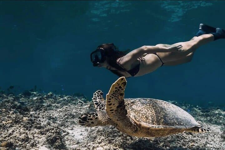 Sunset Catamaran Snorkel & Dinner Cruise at Nusa Lembongan photo 4