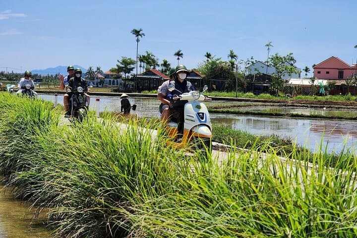Hoi An Vespa Tour: Secret Roads, Bamboo Basket Boat & Local Flavors photo 4