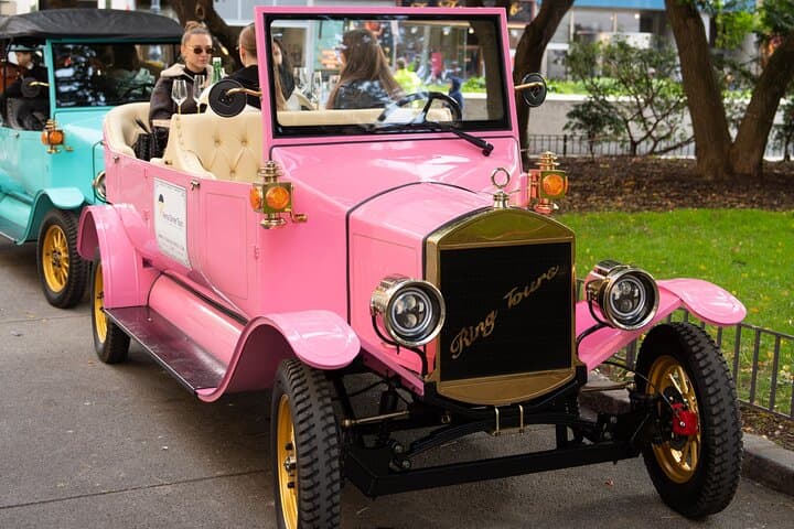 Electric Classic Car Tour of Vienna: Panoramic Landmarks & Prosecco photo 5