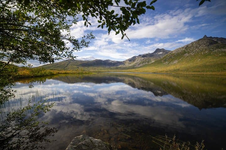 Tromsø Fjord Big-Bus Expedition: Arctic Wildlife & Photography photo 4