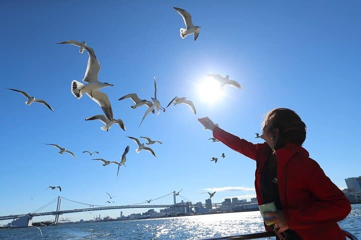 Tokyo Bay Cruise: Sunset & Seagull-Feeding Small-Boat Tour from Shibaura photo 3