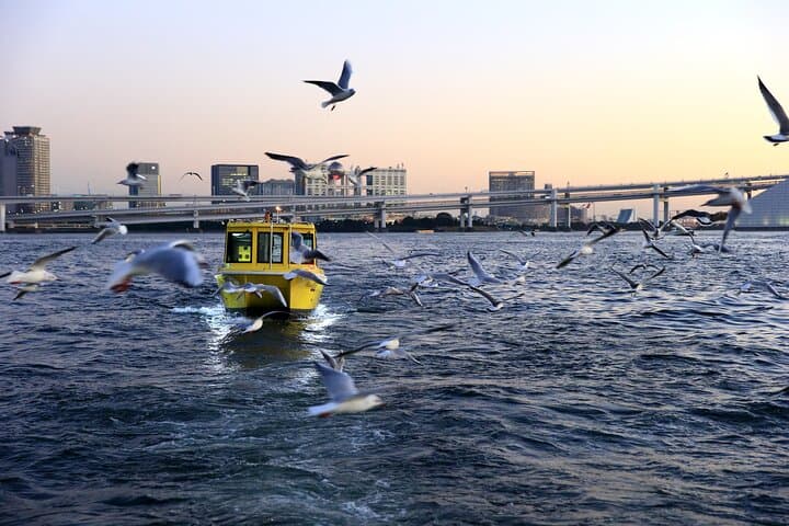Tokyo Bay Cruise: Sunset & Seagull-Feeding Small-Boat Tour from Shibaura photo 5
