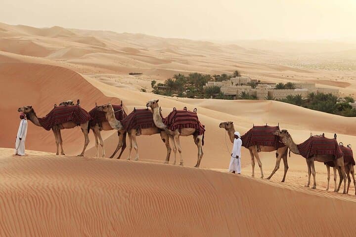 Abu Dhabi Desert Safari: 4x4 Dune Bashing, BBQ Dinner & Camel Ride photo 2