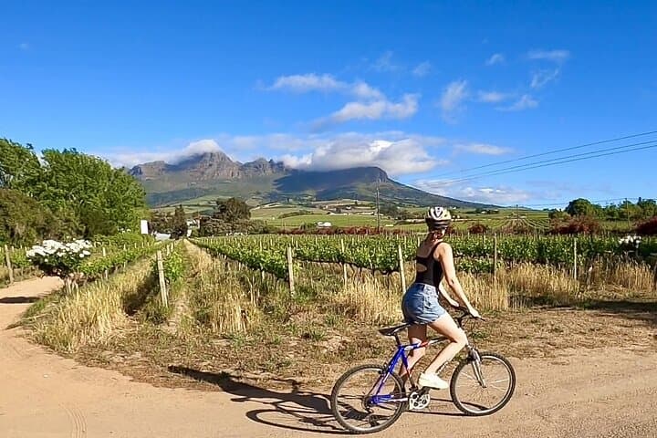 Stellenbosch Bike & Wine Tasting: Self-Guided Cycling Through the Cape Winelands