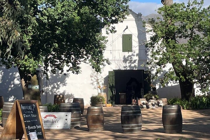Stellenbosch Bike & Wine Tasting: Self-Guided Cycling Through the Cape Winelands photo 6